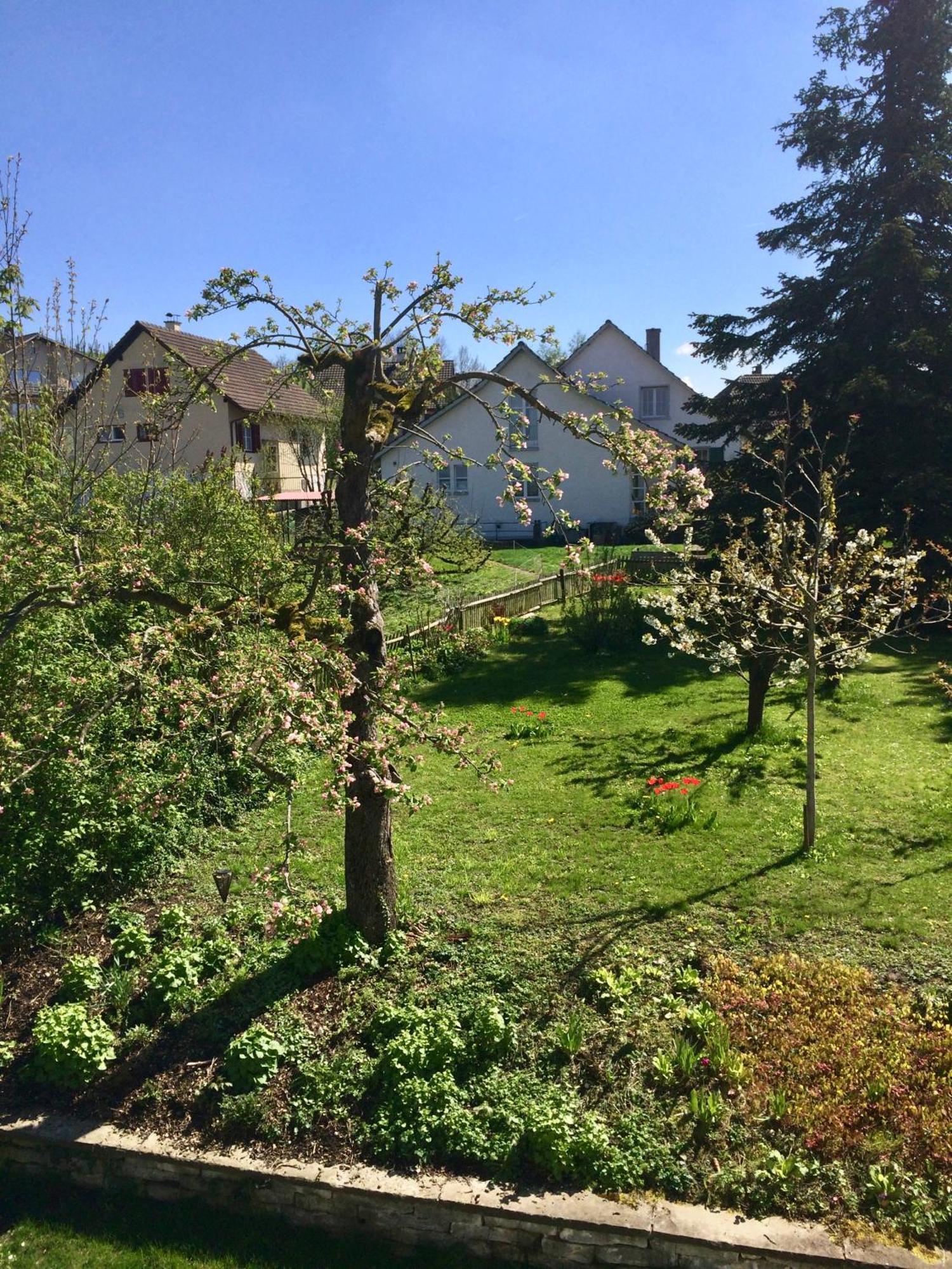 Guntli'S Family Guesthouse Andelfingen Εξωτερικό φωτογραφία